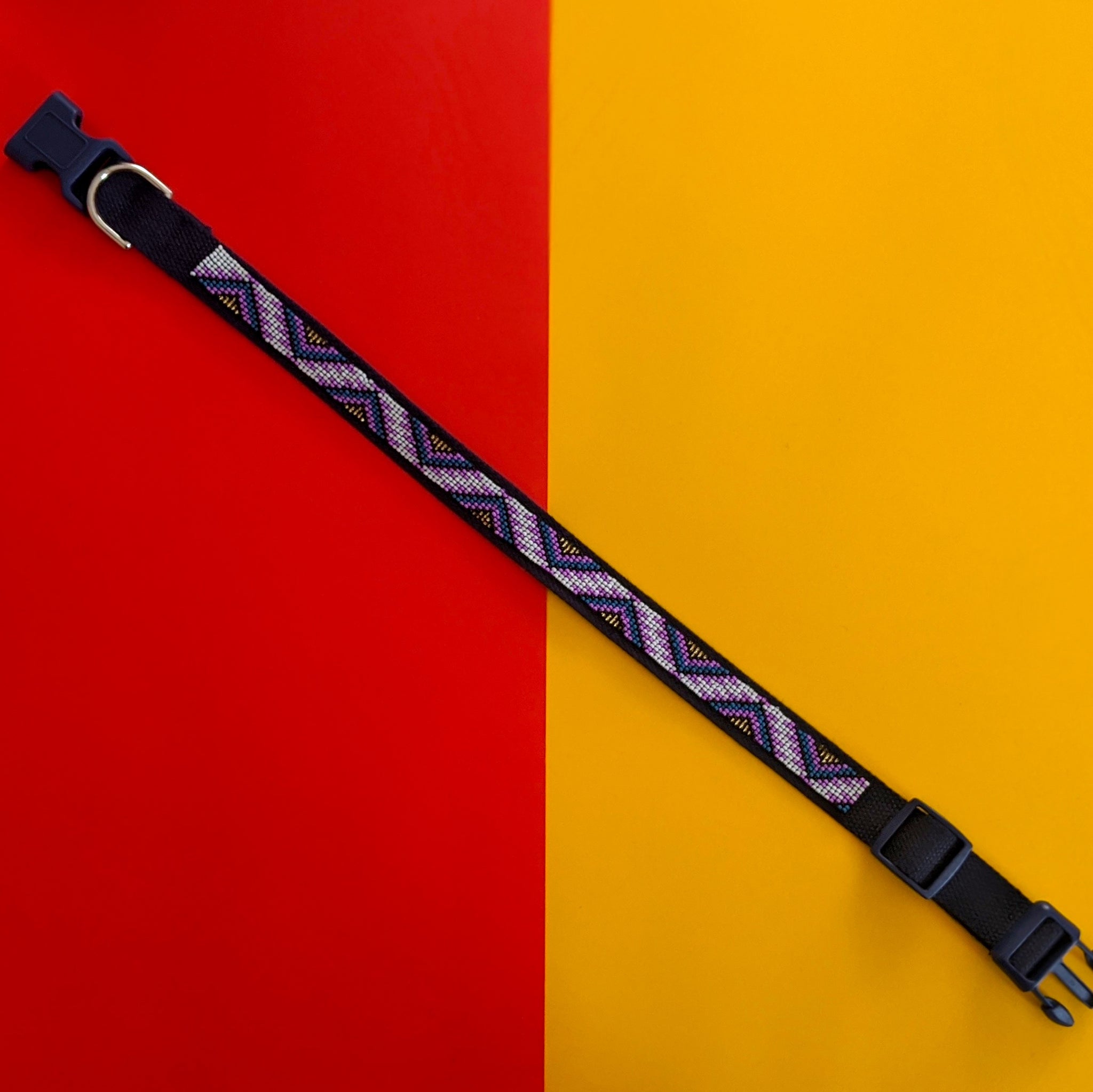 Rays at Dusk  Dog Collar