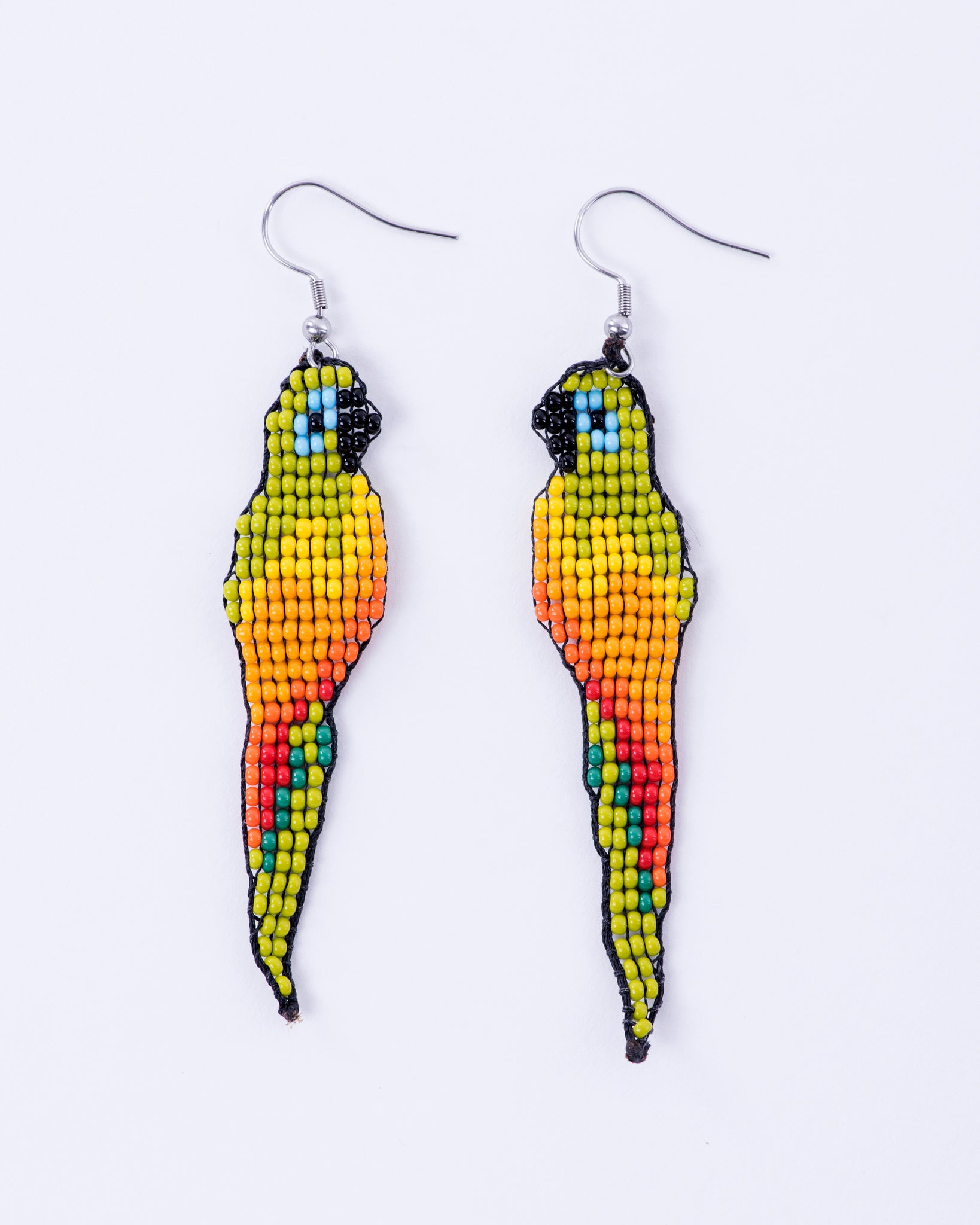 Lulo Parrots
