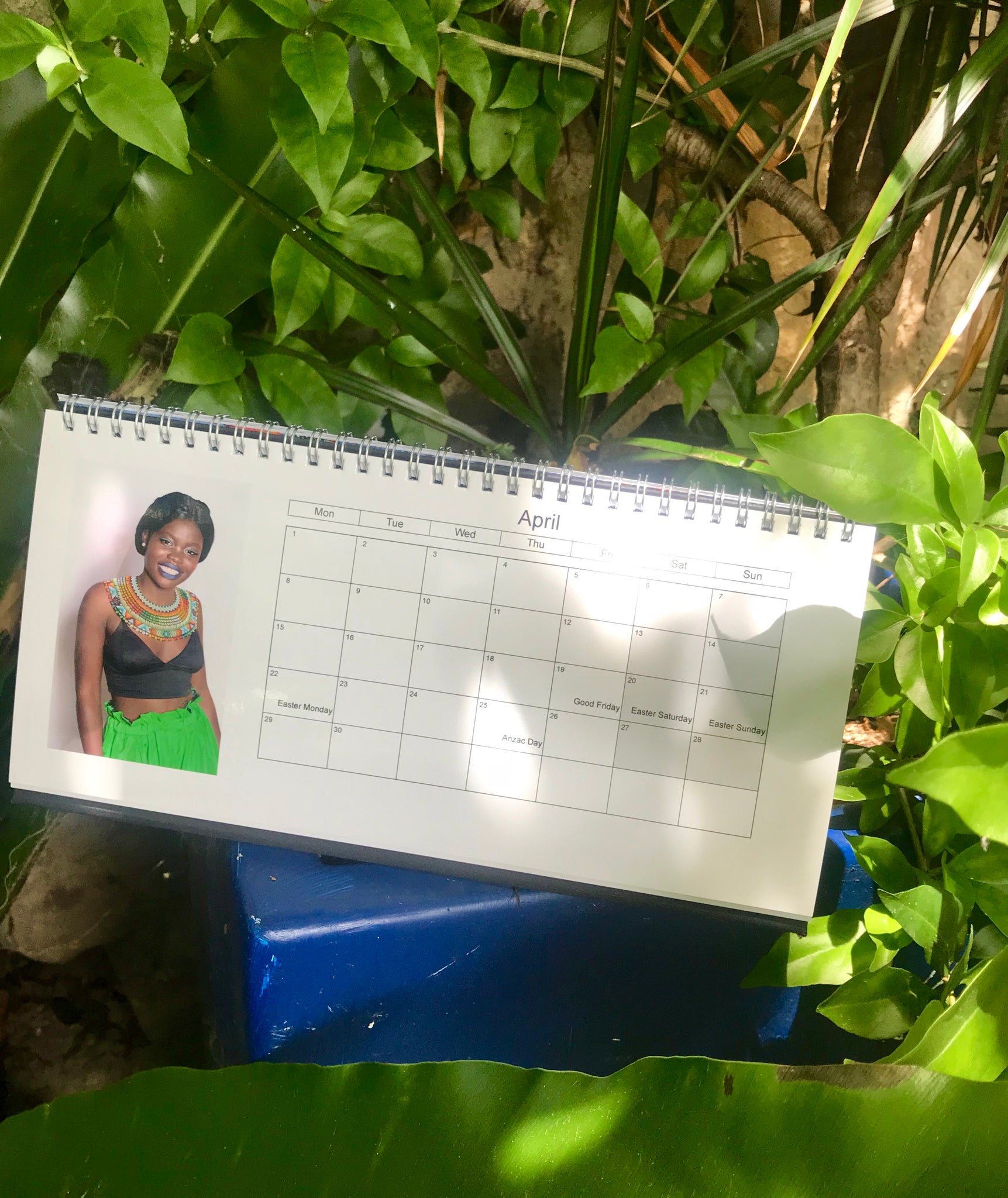 Official Mami Watta Collections Calendar 2019